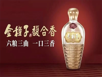 金种子酒重大人事调整落地：谢金明“一肩挑”